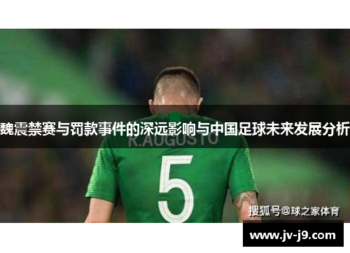 魏震禁赛与罚款事件的深远影响与中国足球未来发展分析