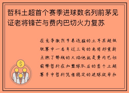哲科土超首个赛季进球数名列前茅见证老将锋芒与费内巴切火力复苏
