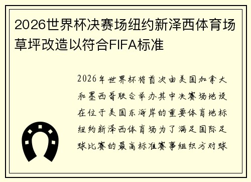 2026世界杯决赛场纽约新泽西体育场草坪改造以符合FIFA标准