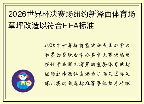 2026世界杯决赛场纽约新泽西体育场草坪改造以符合FIFA标准