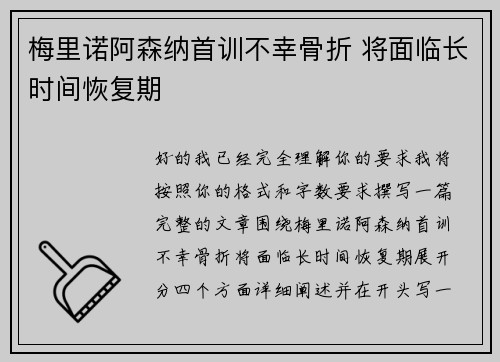 梅里诺阿森纳首训不幸骨折 将面临长时间恢复期